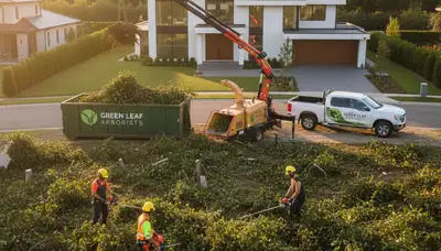 Professional shrub removal crew clearing overgrown bushes in Naperville, IL yard