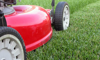 Lawn Care in Naperville IL Lawn Care Services in Naperville IL Quality Lawn Care in Naperville IL